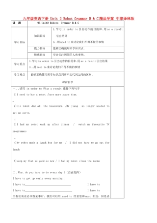 九年级英语下册 Unit 2 Robot Grammar B & C精品学案 牛津译林版