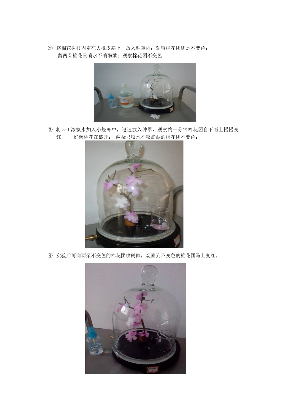 江西省信丰县黄泥中学中考化学实验汇总复习 大树小树桃花开--分子运动实验改进教学设计_第2页