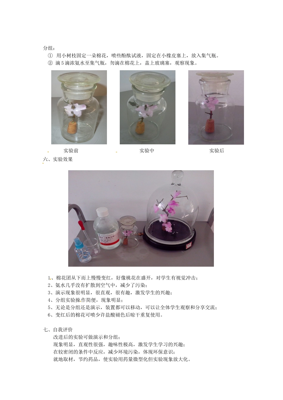 江西省信丰县黄泥中学中考化学实验汇总复习 大树小树桃花开--分子运动实验改进教学设计_第3页