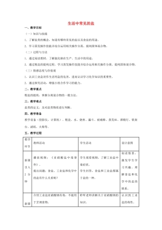 九年级化学下册 第十一单元 课题1 生活中常见的盐（第1课时）教学设计 （新版）新人教版