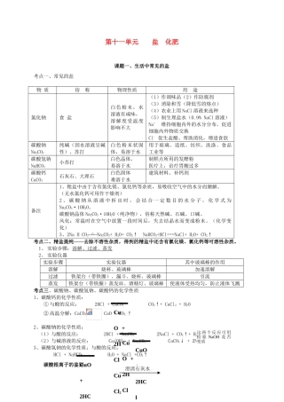 九年级化学下册 第十一章《盐 化肥》单元考点知识总结教案 新人教版