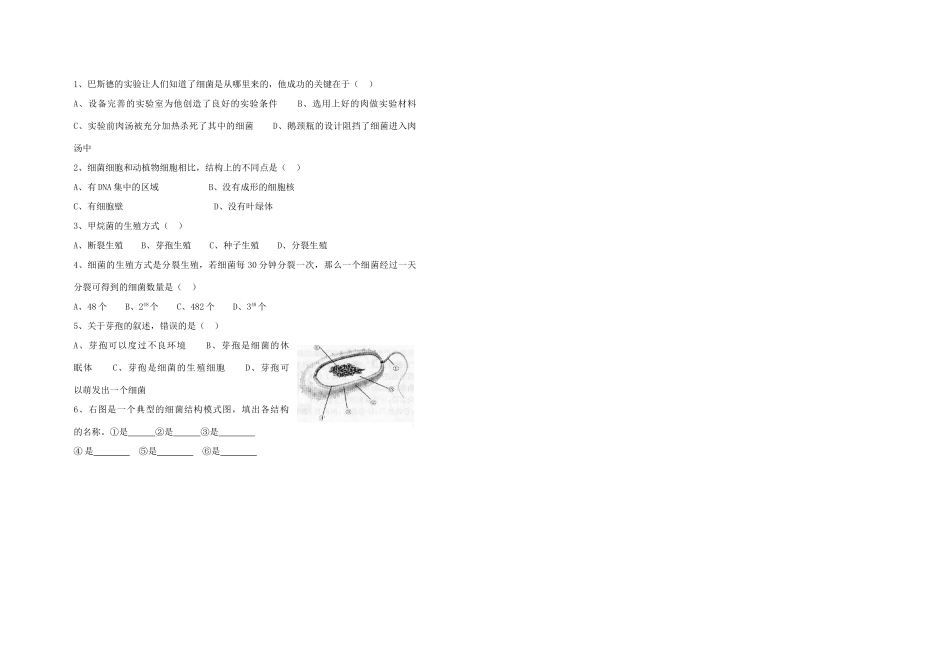 山西省大同铁一中八年级生物上册 第二节　细菌学案(无答案)  人教新课标版_第2页