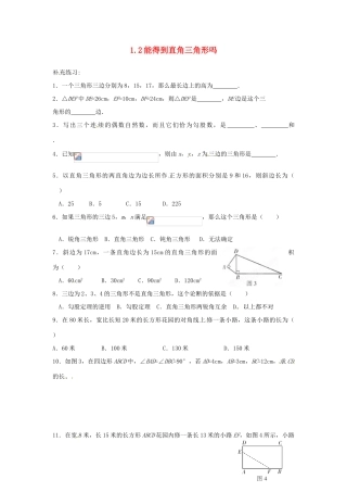 山东省济南市二十七中八年级数学《1.2能得到直角三角形吗》学案 人教新课标版
