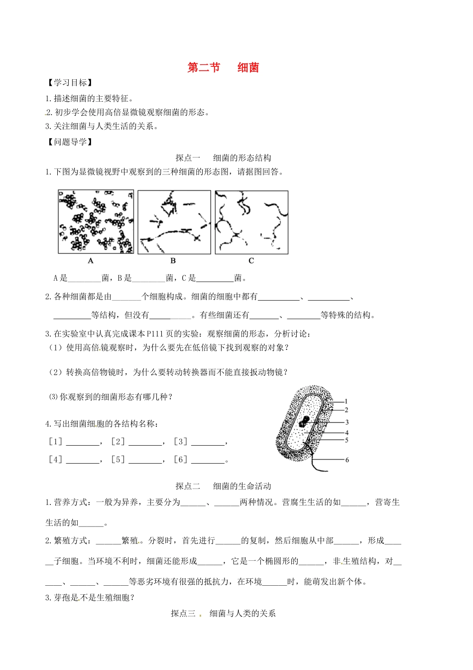 山东省东营市第二中学七年级生物《细菌》学案_第1页