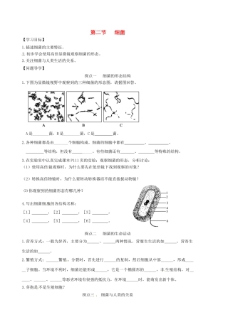 山东省东营市第二中学七年级生物《细菌》学案