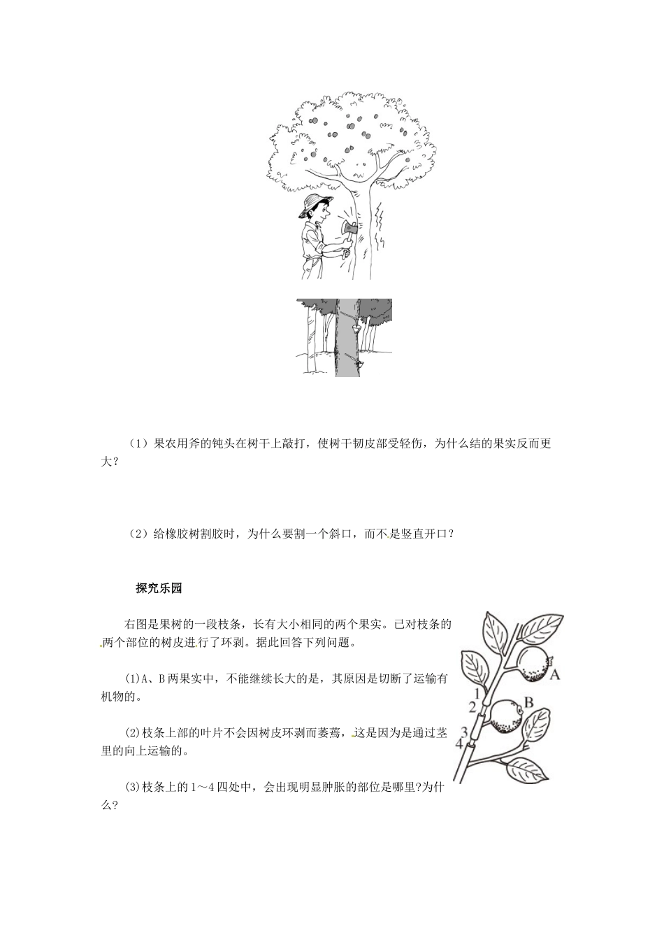 天津市小站第一中学七年级生物上册 3.3.2 水分进入植物体内的途径同步练习 新人教版_第2页