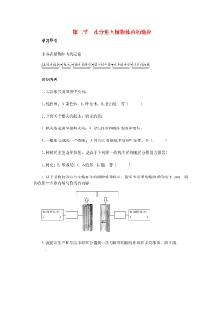 天津市小站第一中学七年级生物上册 3.3.2 水分进入植物体内的途径同步练习 新人教版