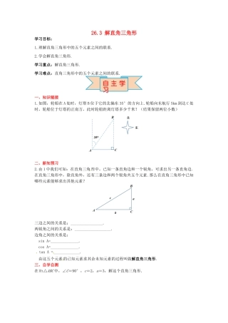 九年级数学上册 26.3 解直角三角形导学案 （新版）冀教版-（新版）冀教版初中九年级上册数学学案