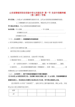 山东省聊城市阳谷实验中学九年级化学 第一节 生活中的酸和碱（第二课时）学案