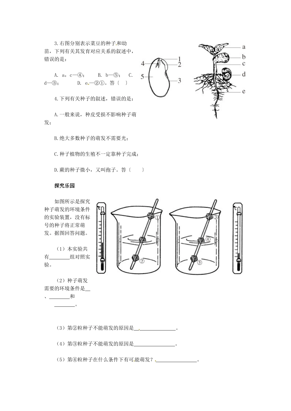 天津市小站第一中学七年级生物上册 3.2.1 种子的萌发同步练习 新人教版_第2页