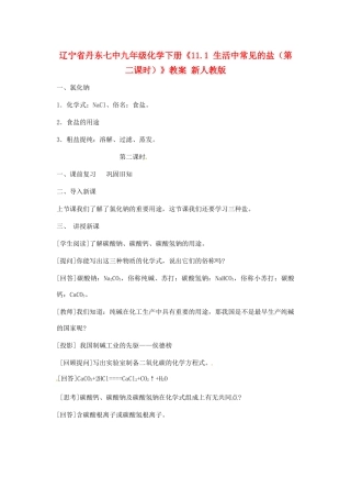 辽宁省丹东七中九年级化学下册《11.1 生活中常见的盐（第二课时）》教案 新人教版
