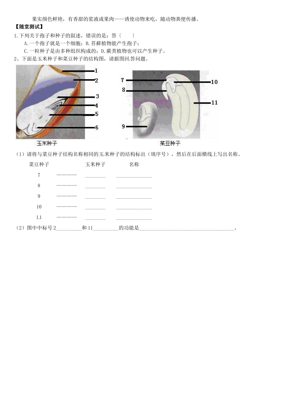 天津市小站第一中学七年级生物上册 3.1.2 种子植物导学案（无答案） 新人教版_第2页