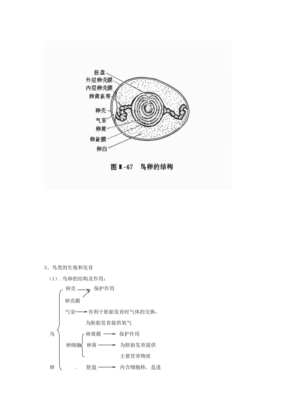 八年级生物上册 第19章第2节 动物的生殖和发育（复习提纲） 精品教案 北师大版_第3页