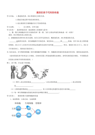 山东省胶南市理务关镇中心中学八年级生物下册 7.2.2 基因在亲子代间的传递学案（无答案） 新人教版