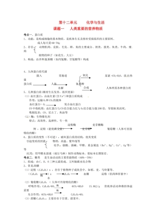 九年级化学下册 第十二单元 化学与生活《课题一 人类重要的营养物质》考点复习教案 新人教版