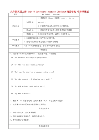 九年级英语上册 Unit 6 Detective stories Checkout精品学案 牛津译林版