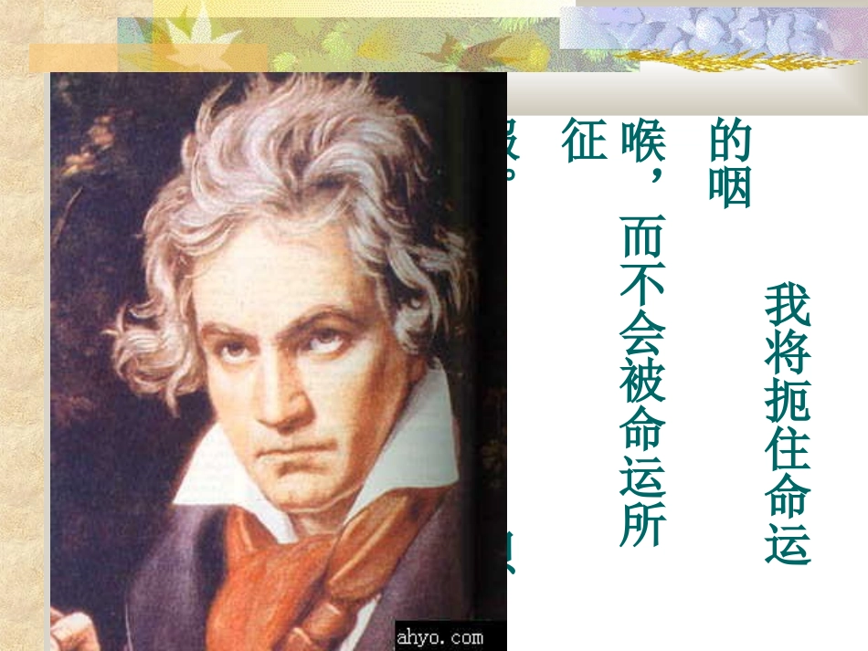 七年级语文下册音乐巨人贝多芬教案人教版_第3页