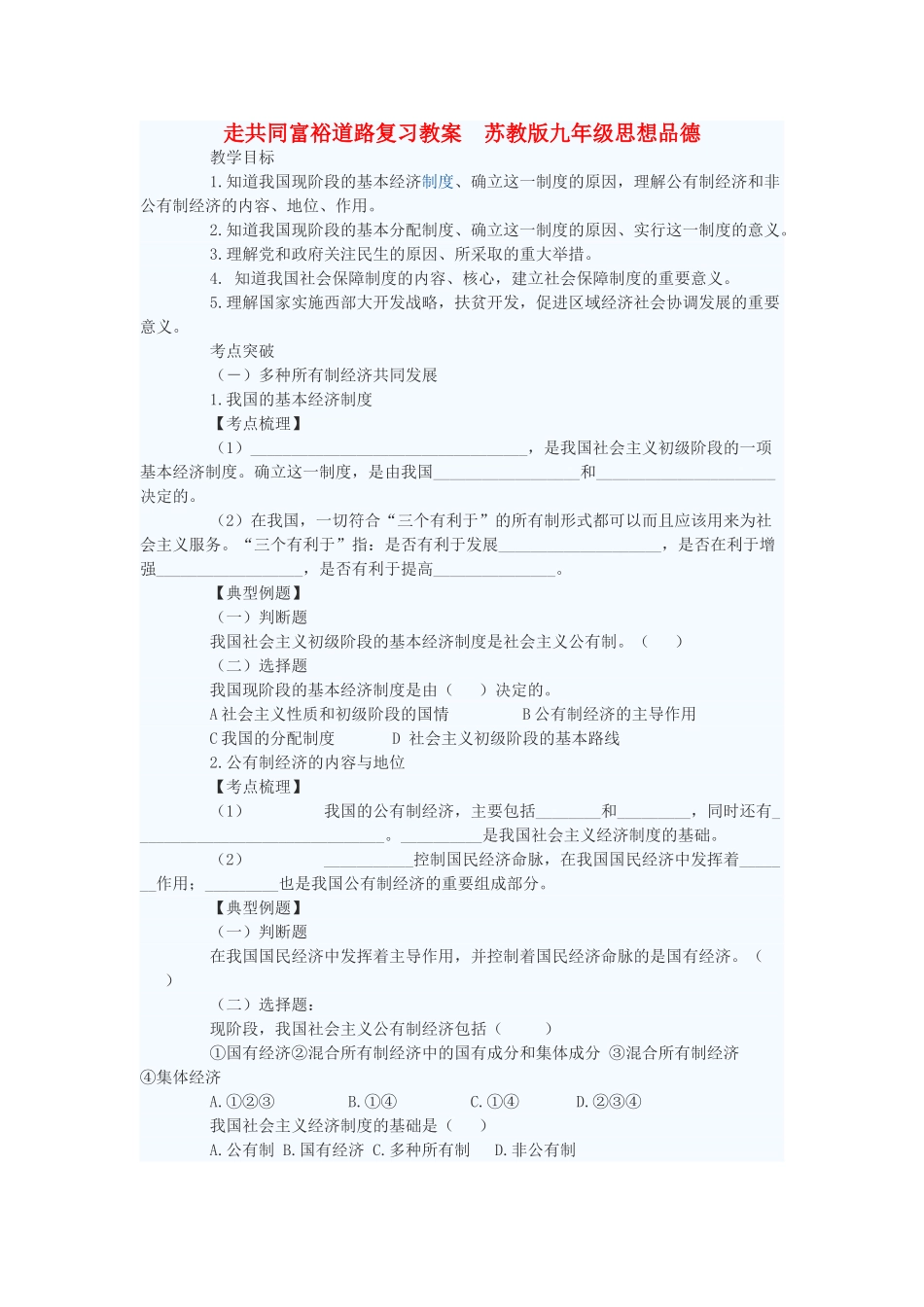 九年级政治 走共同富裕道路复习教案 苏教版_第1页