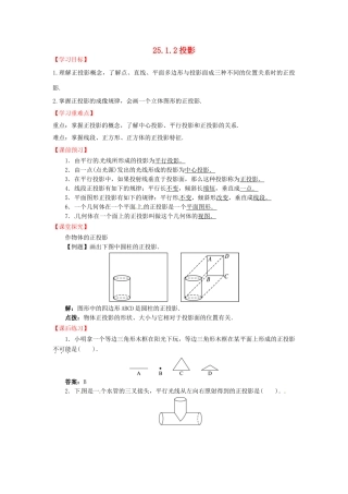九年级数学下册 25.1.2 投影导学案 （新版）沪科版-（新版）沪科版初中九年级下册数学学案