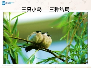 九年级政治全册 第十课 第一框 正确对待理想与现实课件4 新人教版