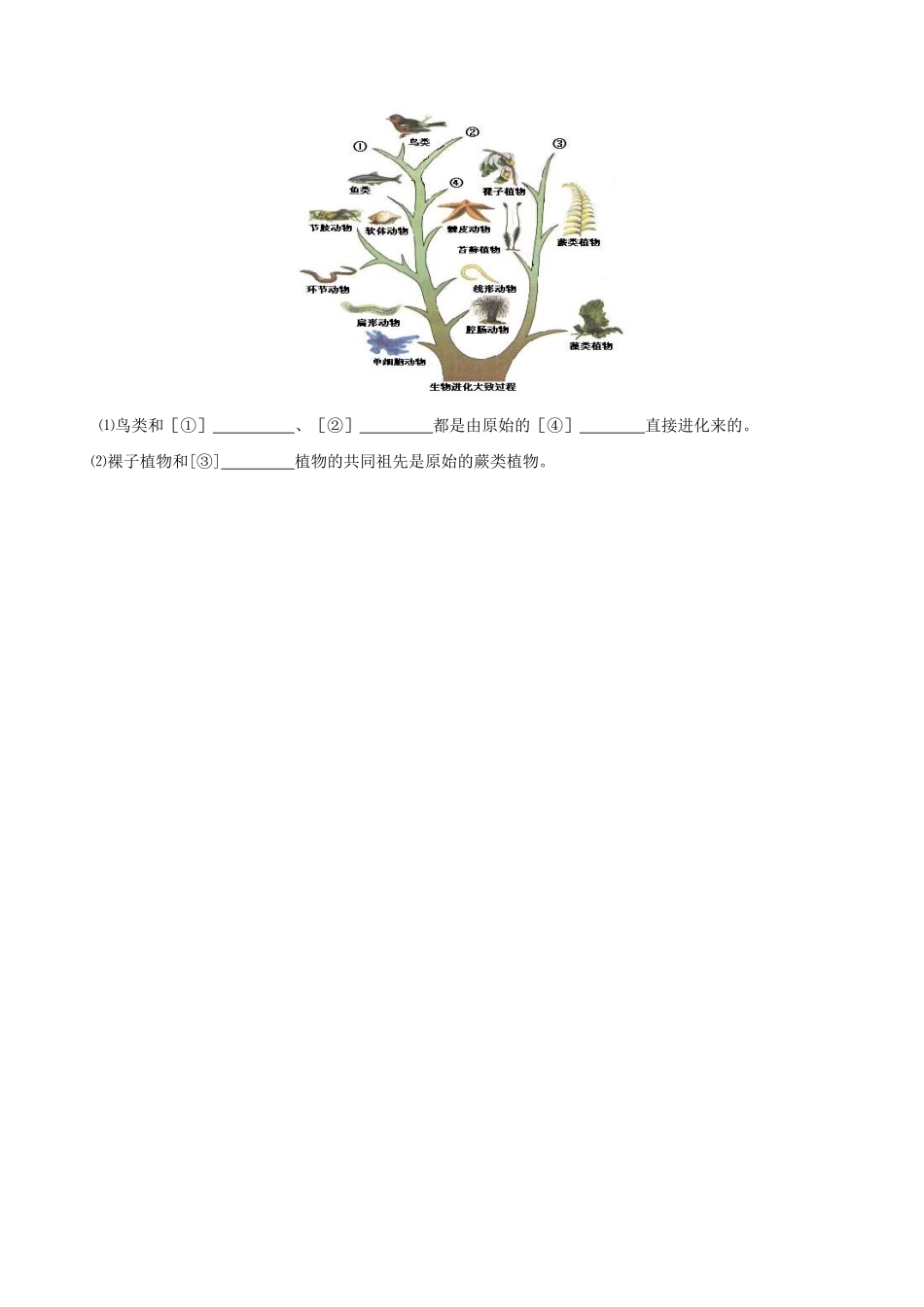 山东省胶南市理务关镇中心中学八年级生物下册 7.3.2 生物进化的历程学案（无答案） 新人教版_第3页