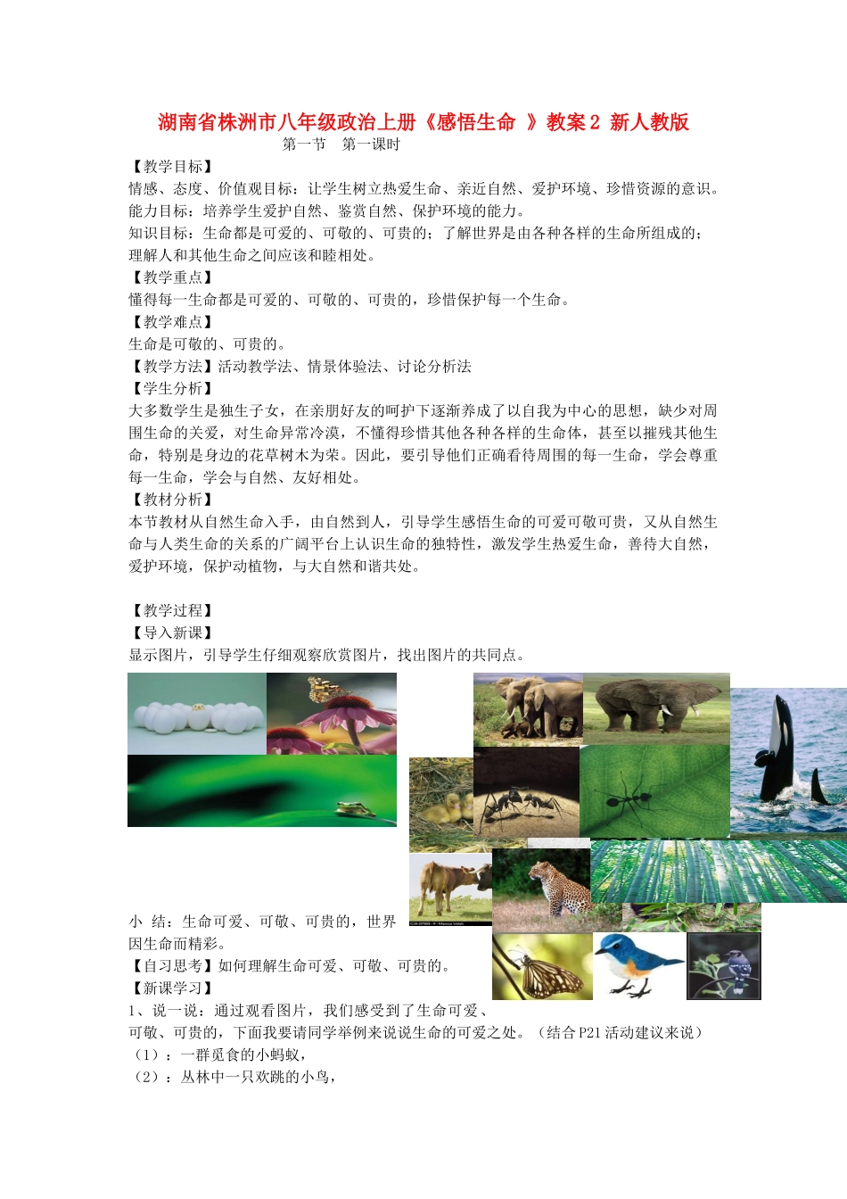 湖南省株洲市八年级政治上册《感悟生命 》教案2 新人教版_第1页