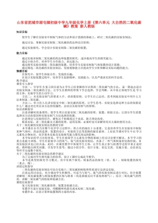山东省肥城市湖屯镇初级中学九年级化学上册《第六单元 大自然的二氧化碳碱》教案 新人教版
