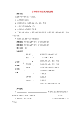 九年级政治 多种所有制经济共同发展教案 人教新课标版