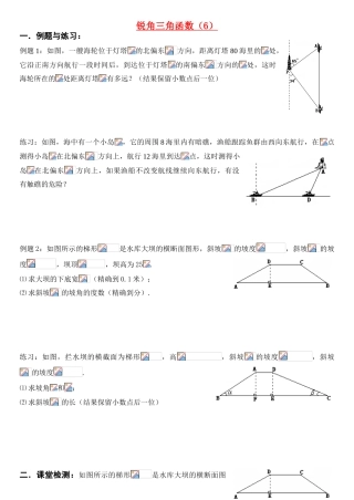 锐角三角函数（6）