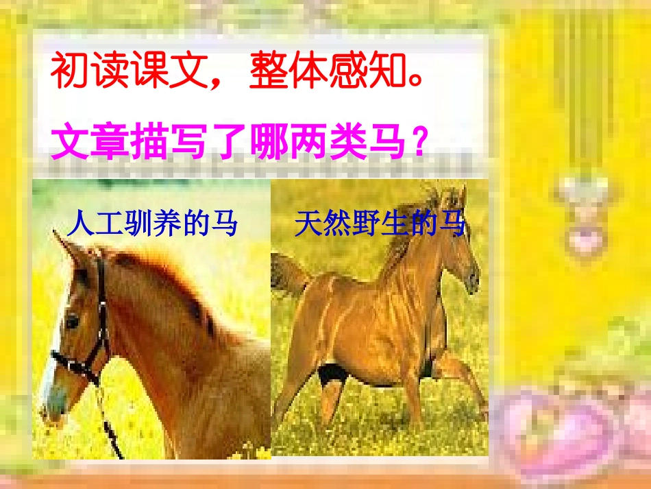七年级语文下册马教案人教版_第2页