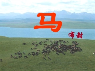 七年级语文下册马教案人教版