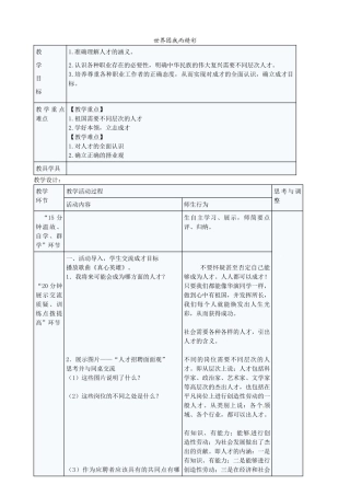 九年级政治全册 5.12.3 世界因我而精彩教案 苏教版-苏教版初中九年级全册政治教案