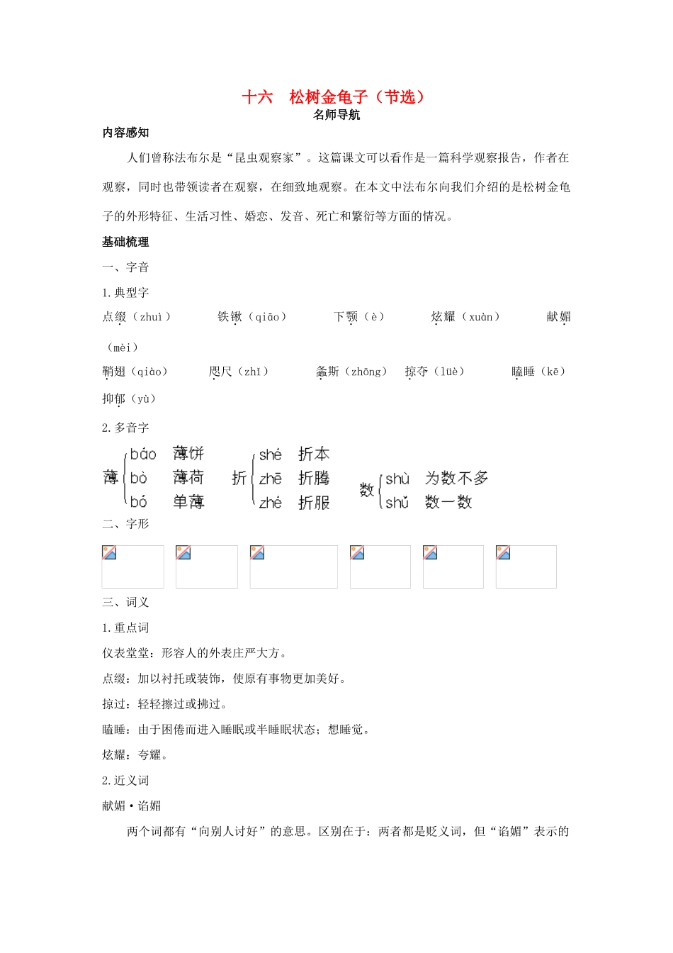 七年级语文下册 第16课《松树金龟子（节选）》名师导航 苏教_第1页