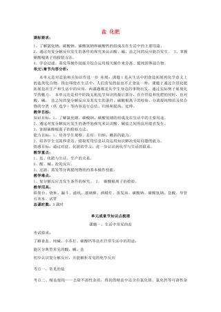 九年级化学下册 第11章《盐 化肥》教材分析知识点梳理 新人教版-新人教版初中九年级下册化学教案