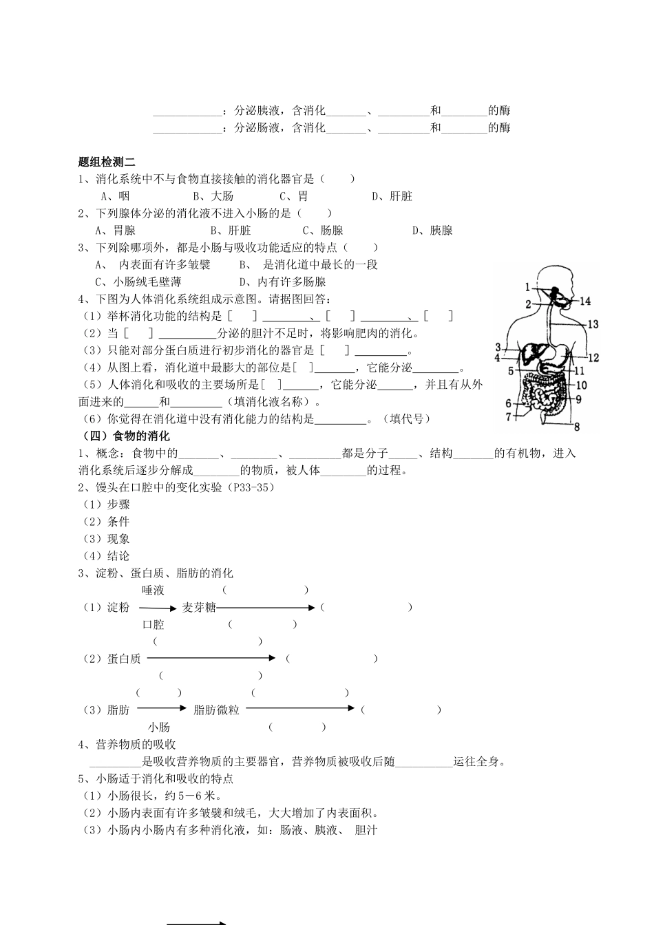 山东省泰安市新泰七年级生物下册 第二章复习学案 新人教版_第2页