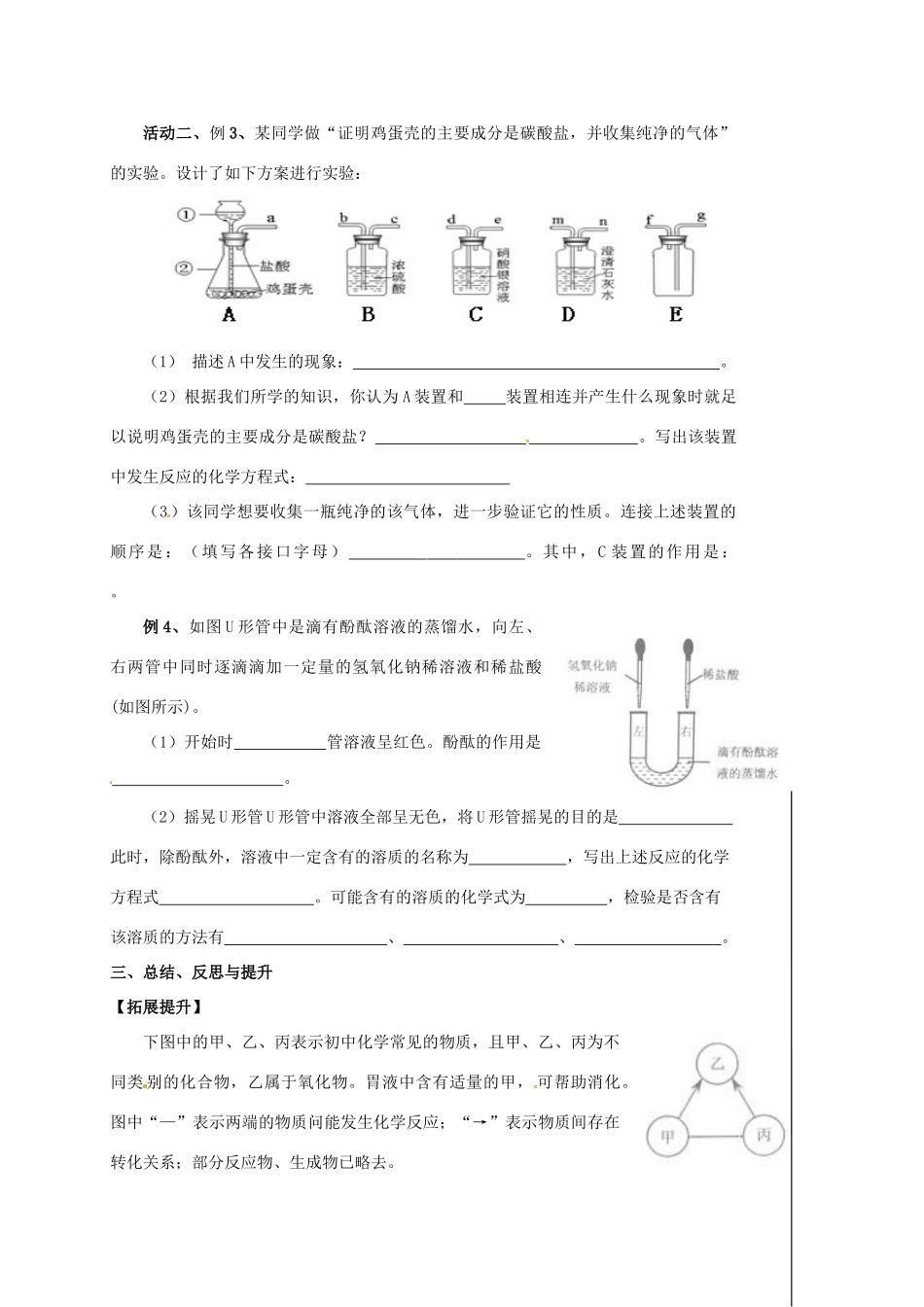 江苏省扬州市高邮市车逻镇中考化学二轮复习 5 元素及化合物（第3课时）教案 沪教版-沪教版初中九年级全册化学教案_第3页