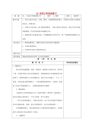 七年级语文上册 29 盲孩子和他的影子教案 （新版）新人教版
