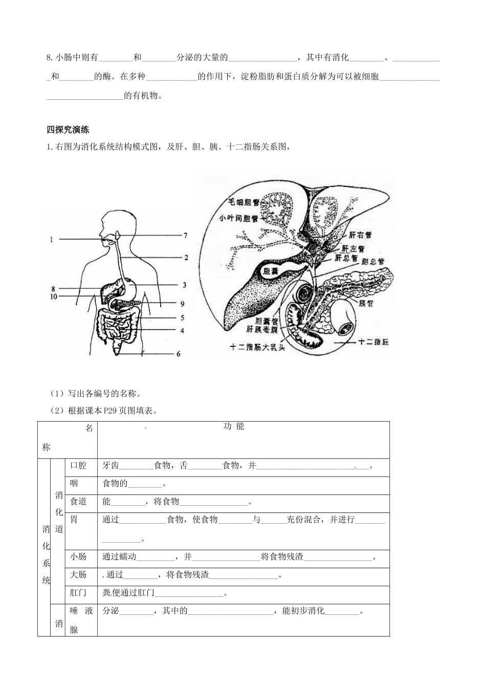 湖南省衡阳市逸夫中学七年级生物下册 第二章 第二节 消化和吸收（第1课时）学案（无答案）_第2页