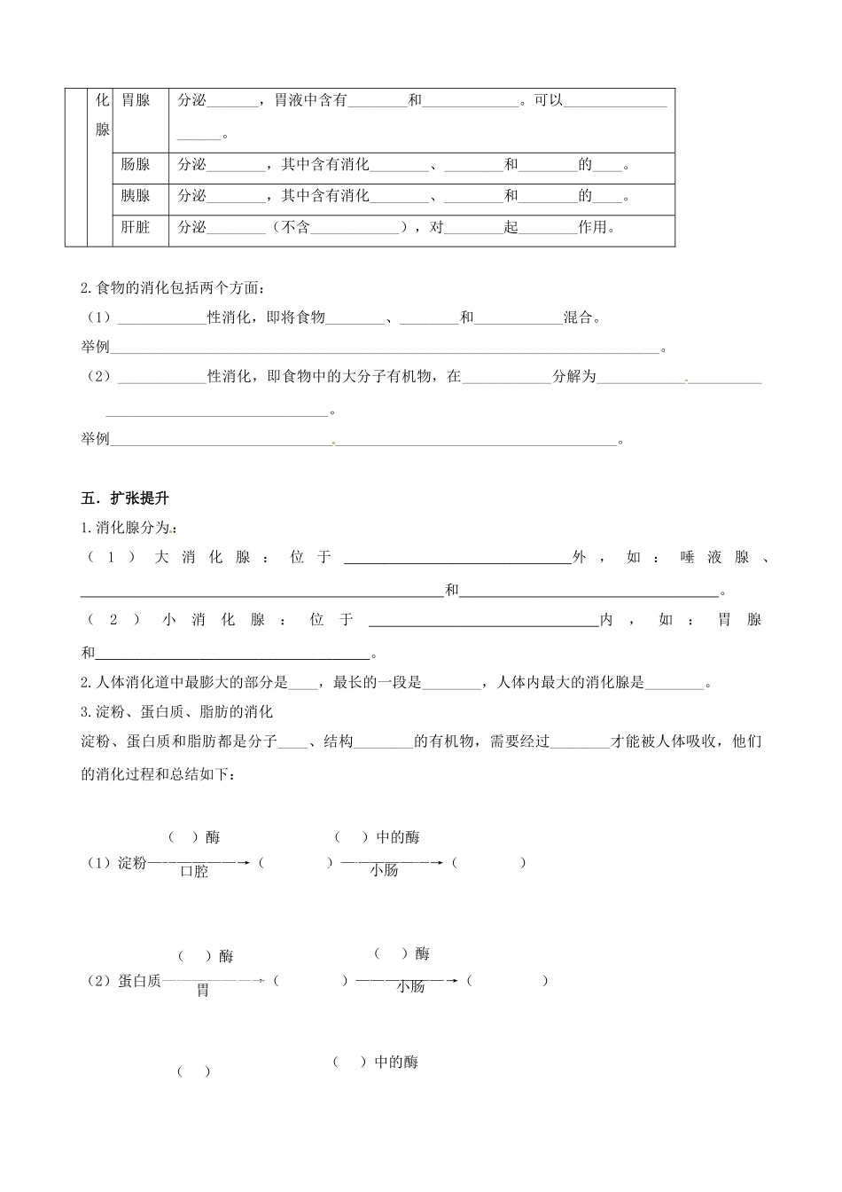 湖南省衡阳市逸夫中学七年级生物下册 第二章 第二节 消化和吸收（第1课时）学案（无答案）_第3页
