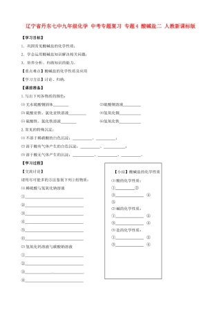 辽宁省丹东七中九年级化学 中考专题复习 专题4 酸碱盐二 人教新课标版