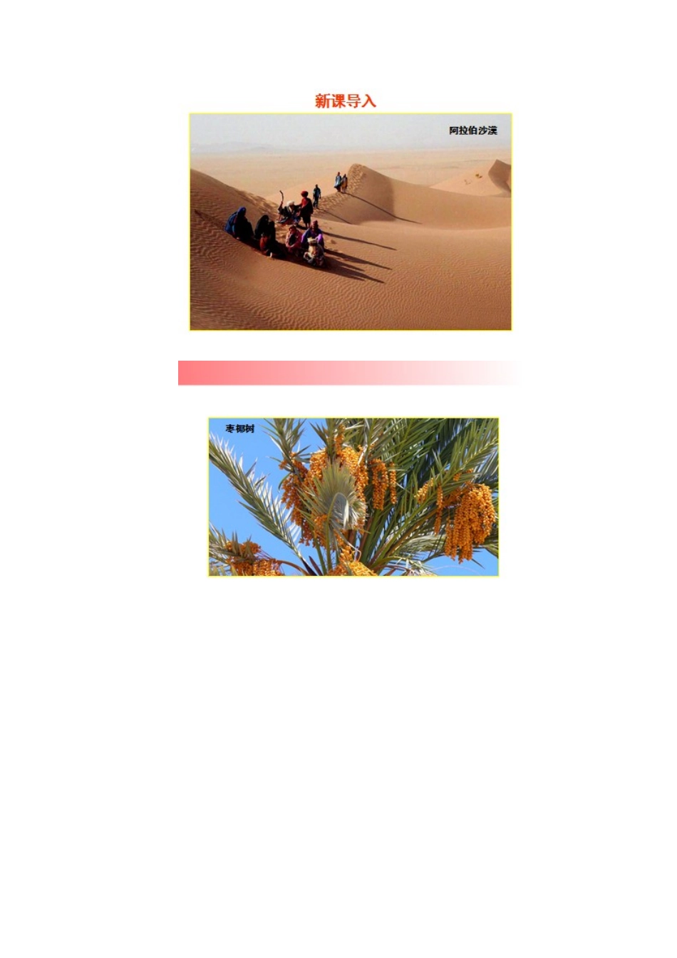 金识源专版七年级地理下册 7.3 西亚（第1课时）教案 湘教版-湘教版初中七年级下册地理教案_第2页