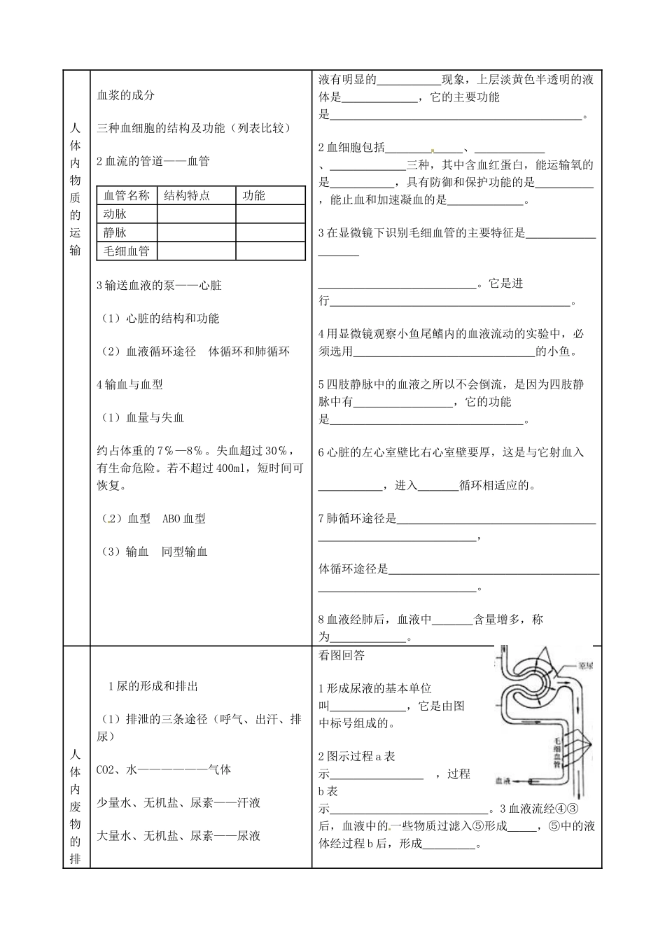 山东省肥城市湖屯镇初级中学七年级生物《第四单元 生物圈中的人》复习提纲_第3页