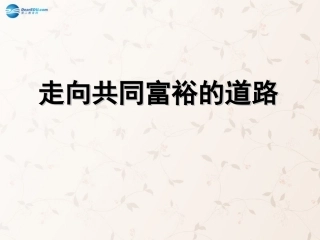 九年级政治全册 第七课 第二框 走向共同富裕的道路课件4 新人教版