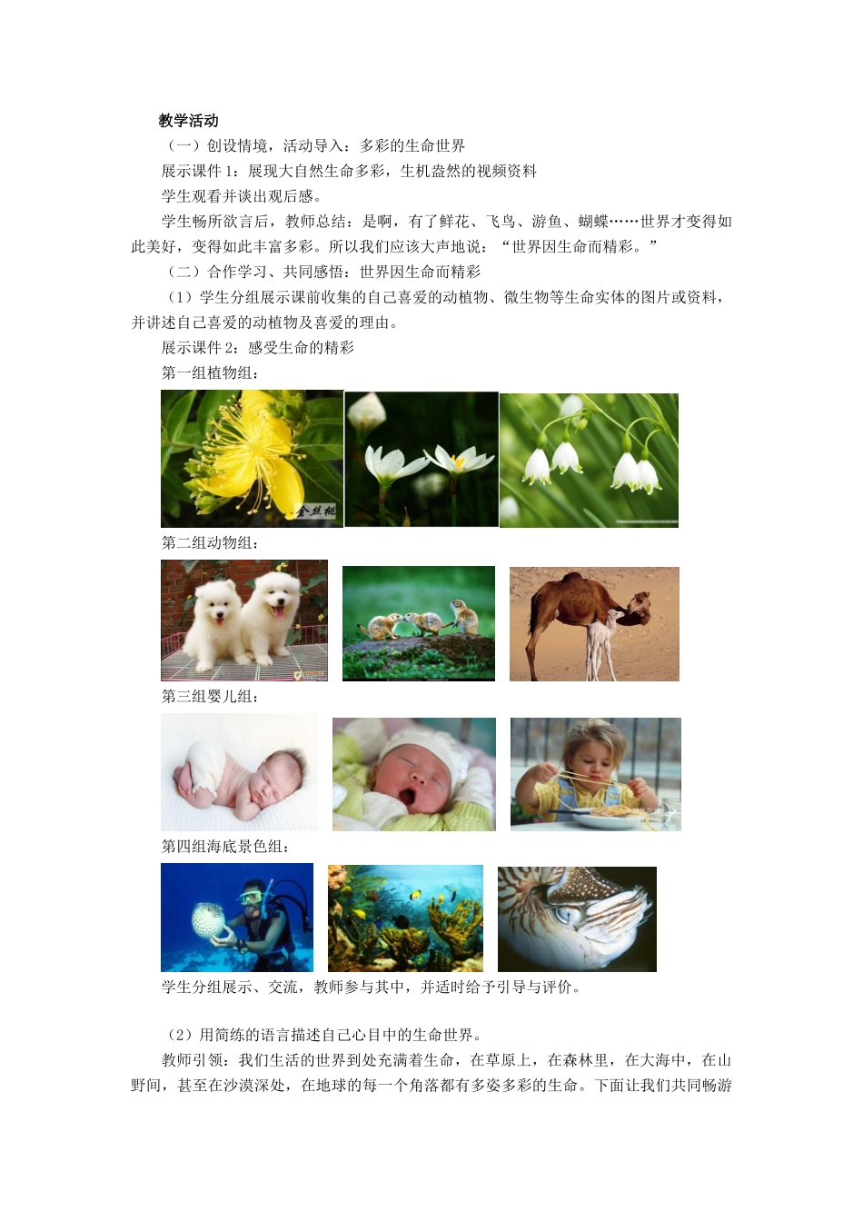 河北省石家庄市第五十七中学七年级政治上册 1.1 多彩的生命世界教学设计 鲁教版_第2页