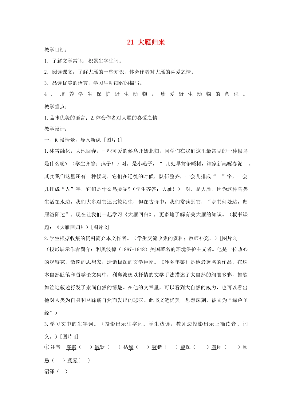 七年级语文上册 第21课《大雁归来》教案 鲁教版-鲁教版初中七年级上册语文教案_第1页