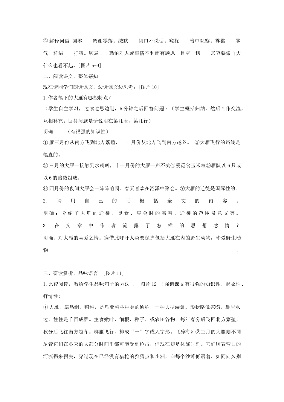 七年级语文上册 第21课《大雁归来》教案 鲁教版-鲁教版初中七年级上册语文教案_第2页