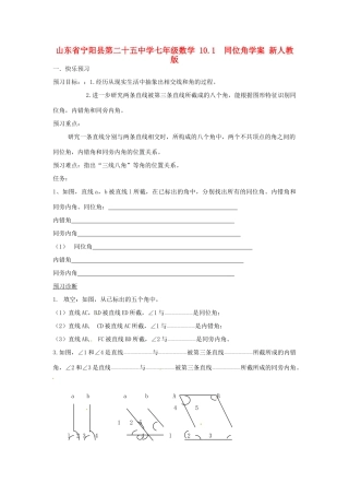 山东省宁阳县第二十五中学七年级数学 10.1同位角学案（无答案） 新人教版