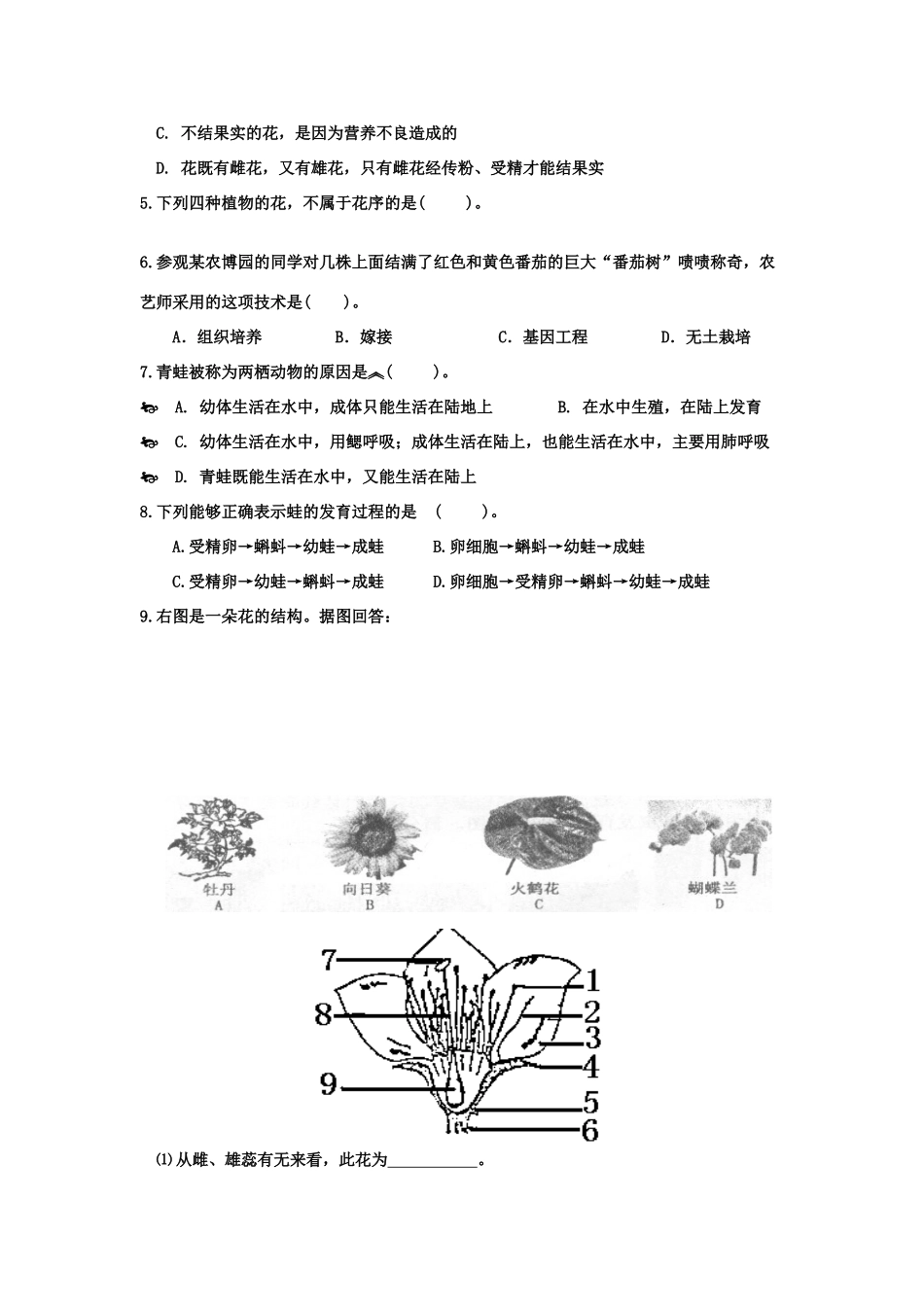 山东省滕州至善中学中考生物学业水平考试复习导学案（七）（无答案）_第3页