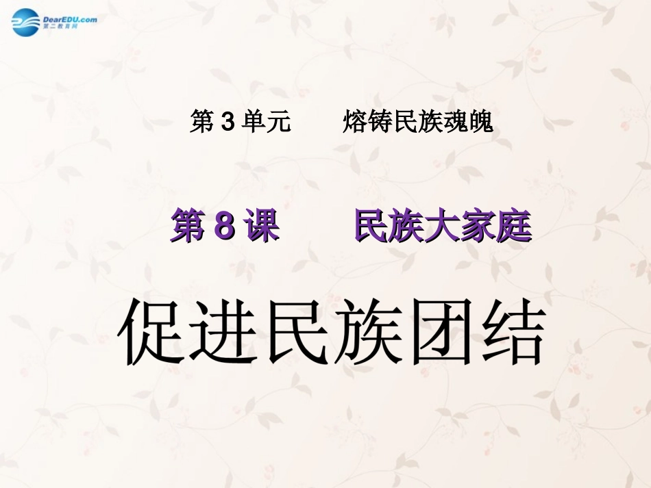 九年级政治全册 第8课 第2站 促进民族团结课件 北师大版_第1页