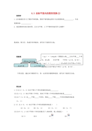 浙江省杭州市萧山区党湾镇初级中学八年级数学上册 6.3《坐标平面内的图形变换》（2）学案 浙教版